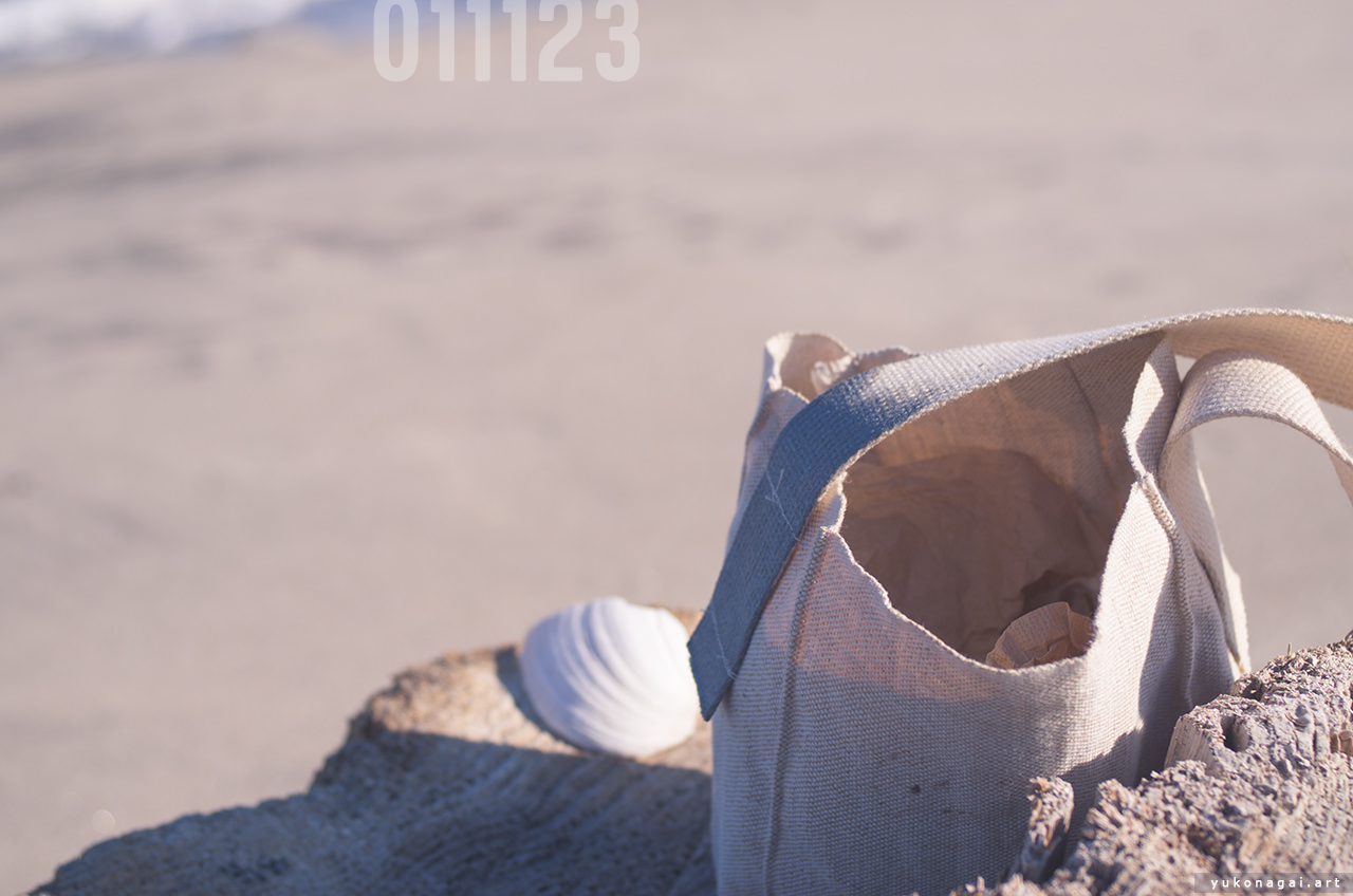 A small canvas purse and a broken sea shell on a chair-shaped driftwood on the beach.