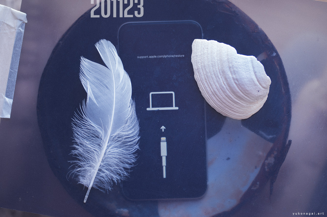 A white feather, a white shell arranged with a smart phone out of service.