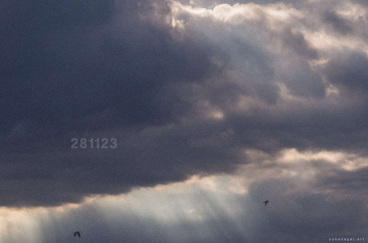 Clouds, sun ray shone through with two gulls in flight.