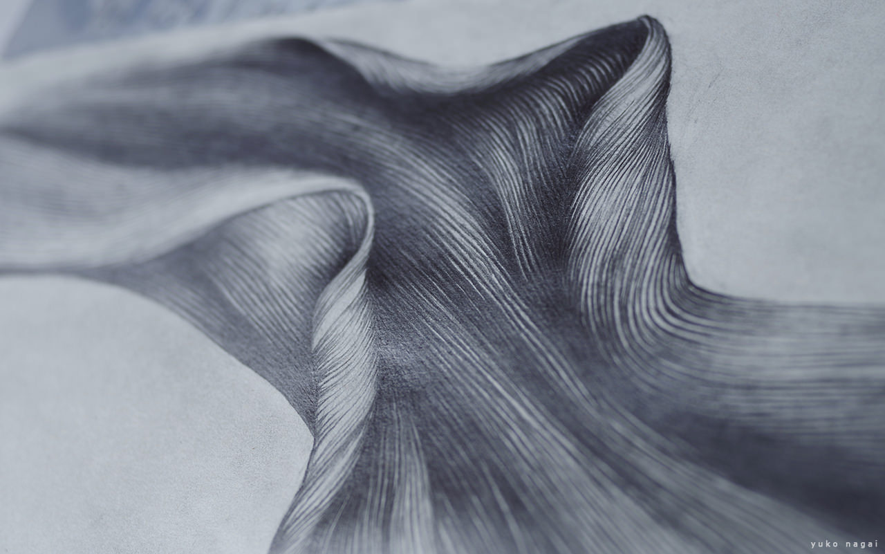 An abstract flower petal drawing.