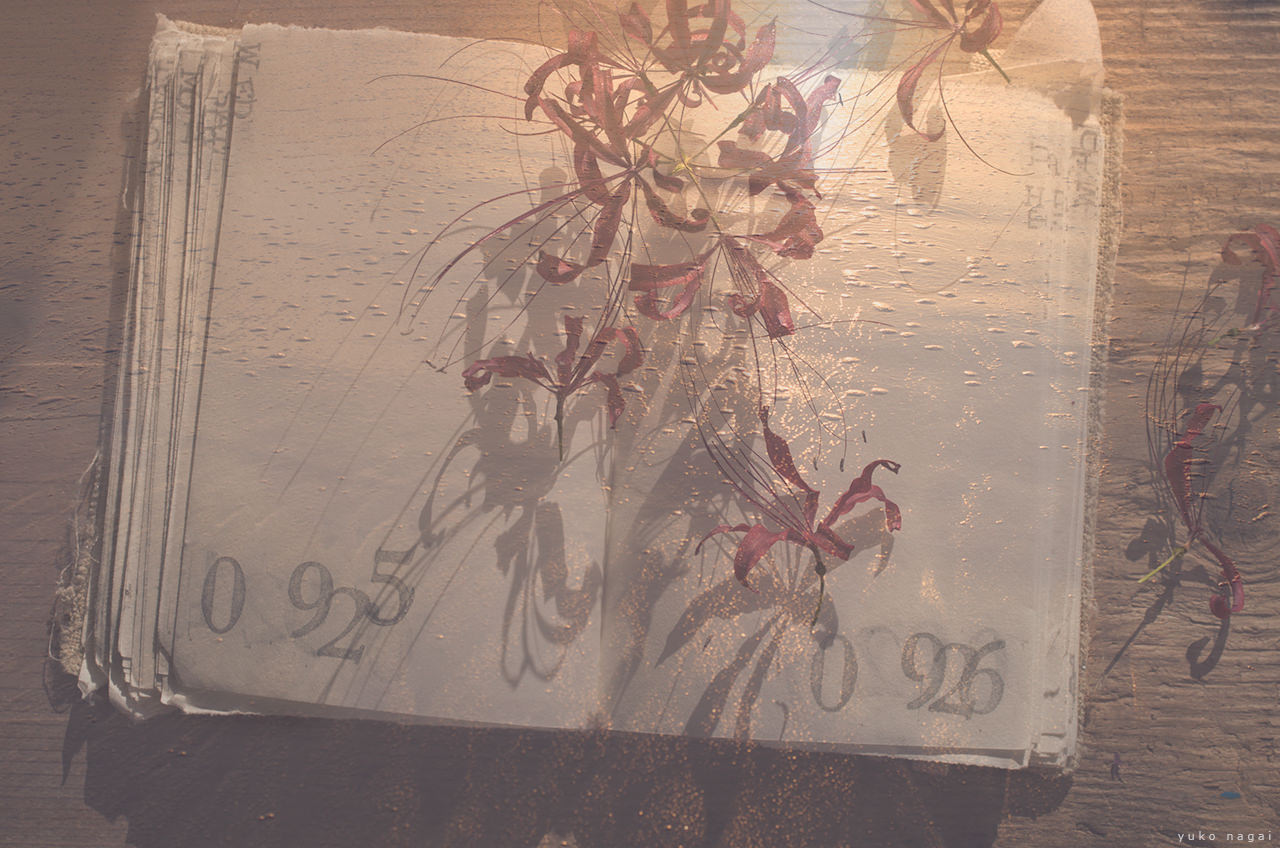 A journal and dried flowers with ocean underlay.