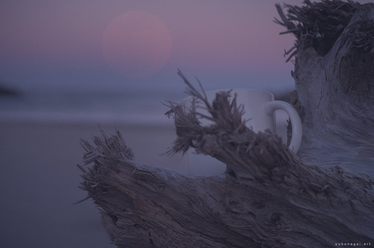 A mug cup placed on a driftwood at sunset on the beach.