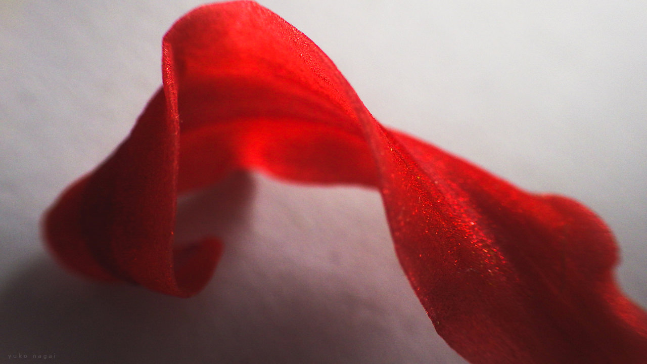 A red spider lily petal detail.