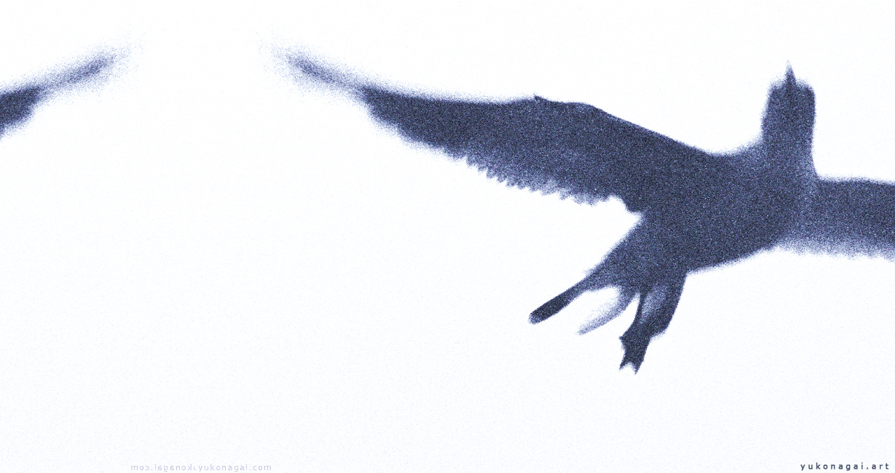 A soaring gull in flight.
