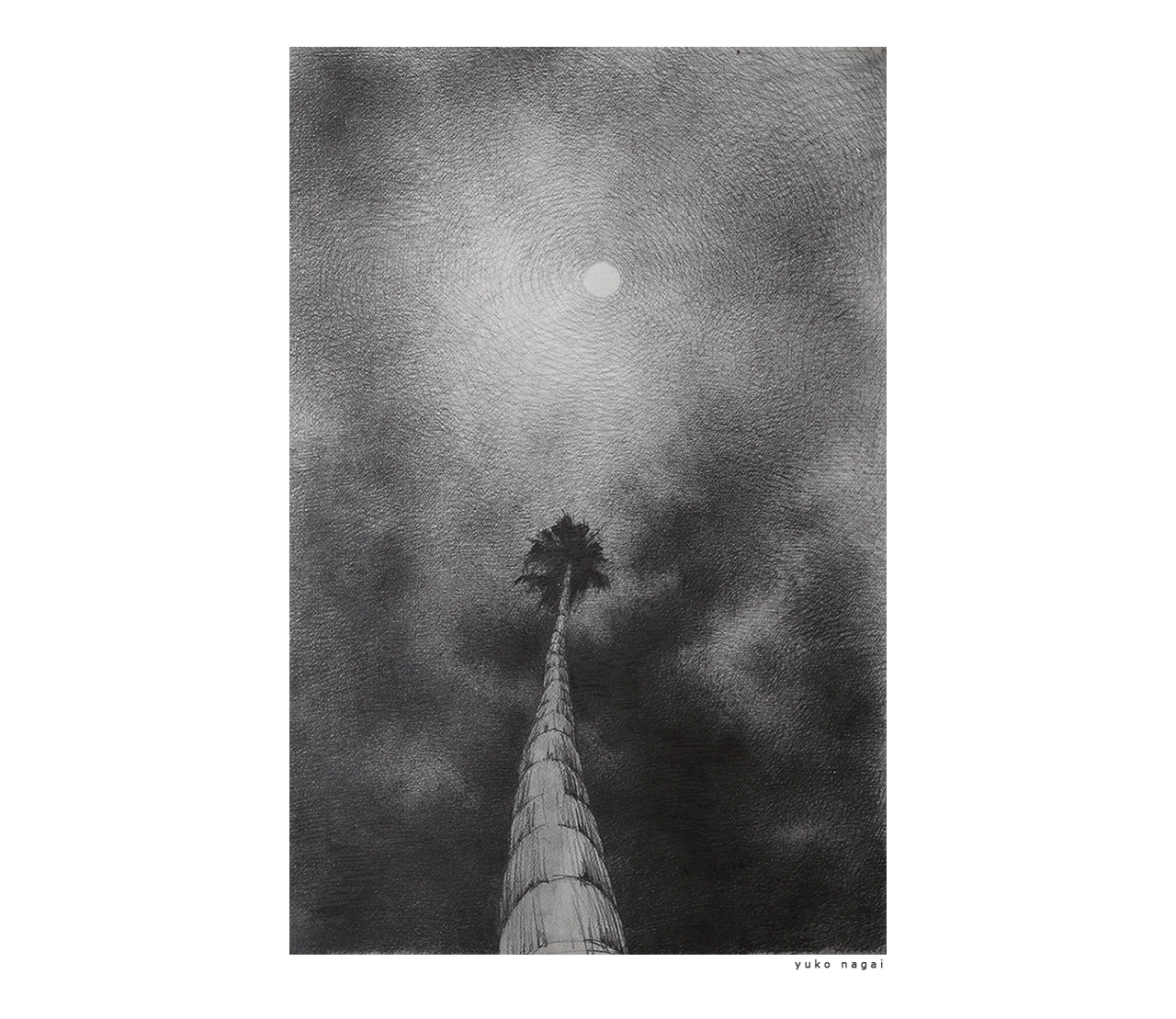 A pencil drawing of a palm tree and clouds.