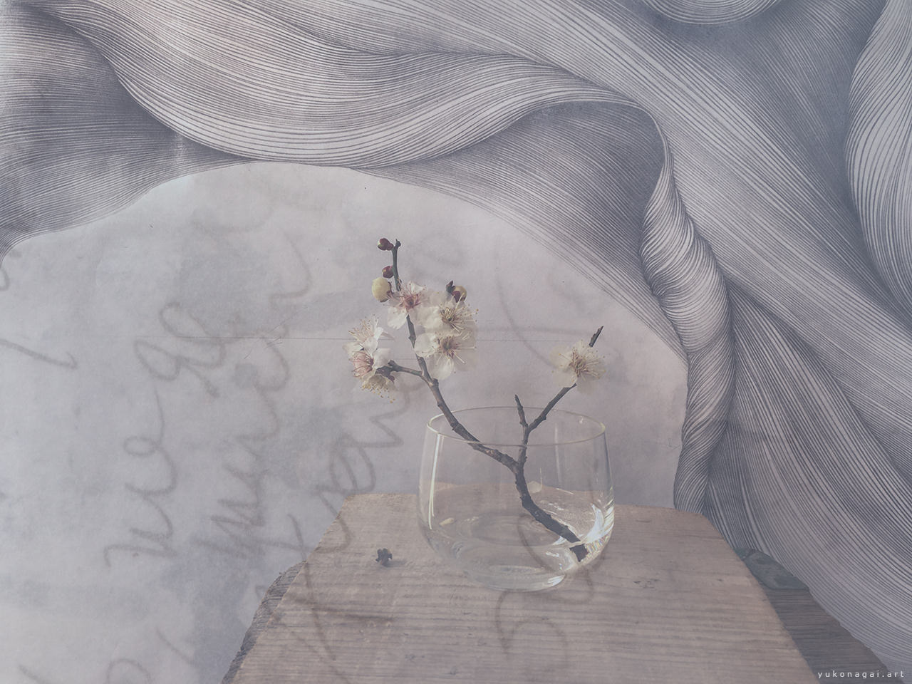 Hand-written letters layered over an abstract line drawing and Ume blossoms.