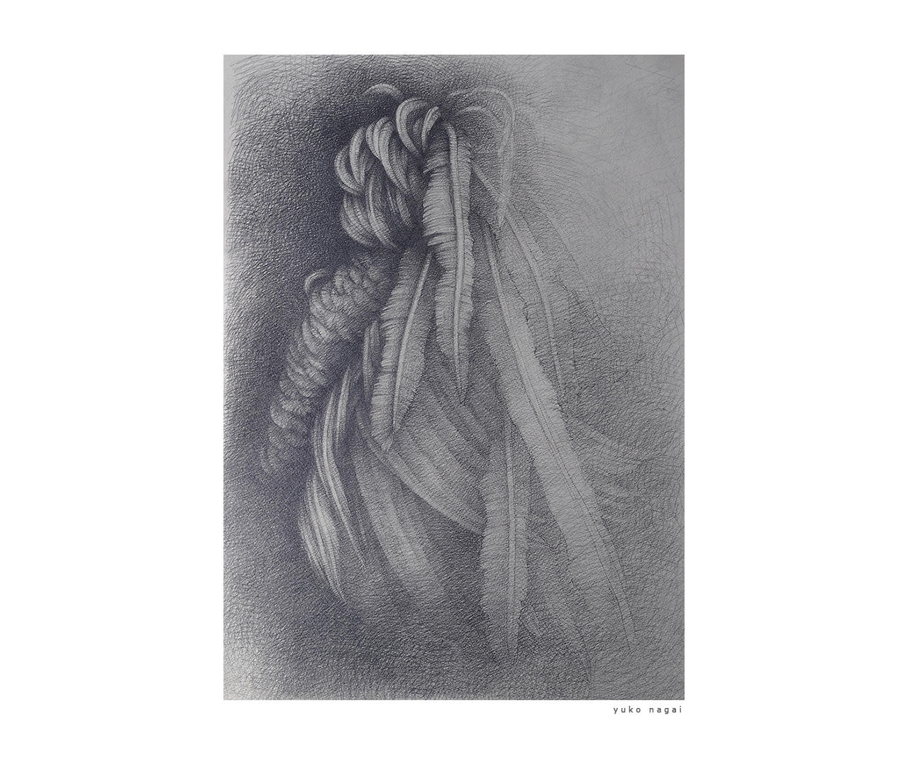 A pencil drawing of a wing.